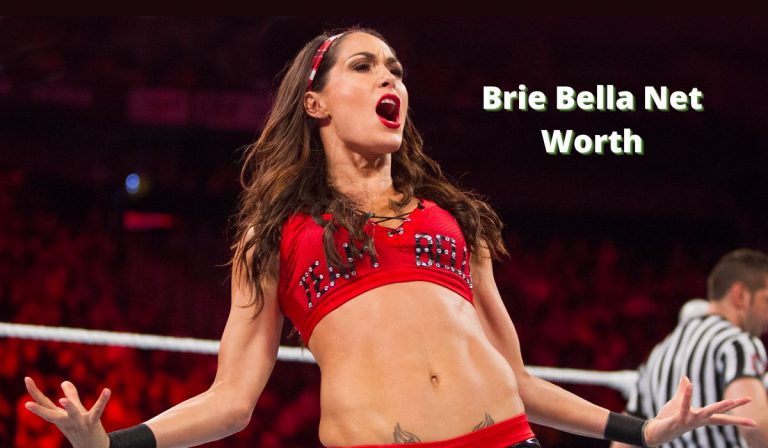 Brie Bella Vermögen 2022: Biografie Einkommen Karrierevermögen